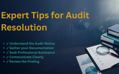 Expert Tips for Audit Resolution